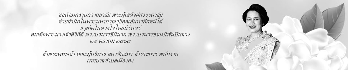 เทศบาลตำบลเมืองคง